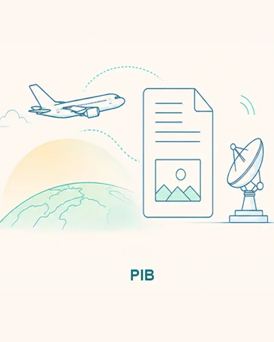 PIB Solution